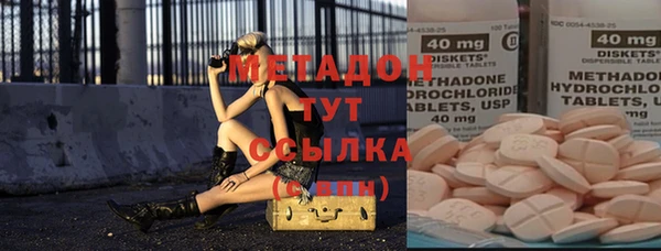 прущие грибы Абаза