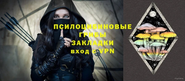 гашик Алексеевка