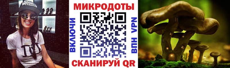 Галлюциногенные грибы Magic Shrooms Каменск-Уральский