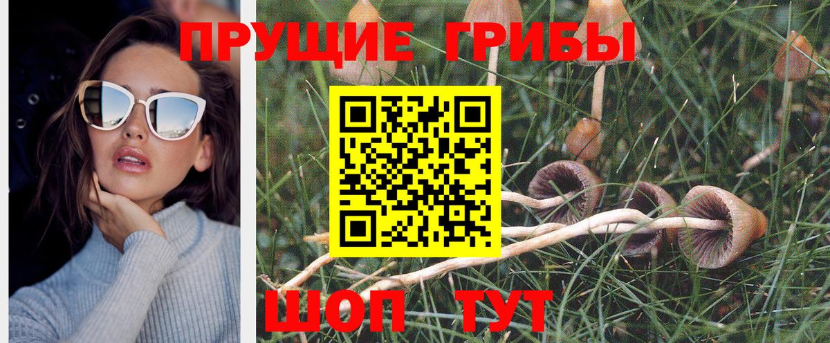 Галлюциногенные грибы MAGIC MUSHROOMS Каменск-Уральский