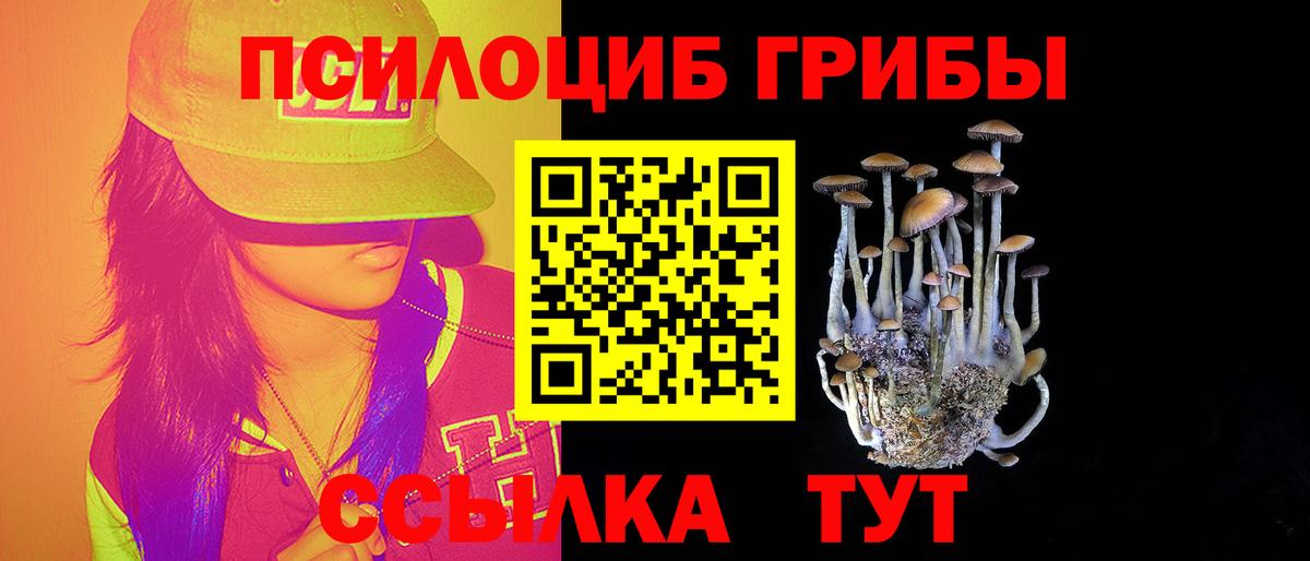 Псилоцибиновые грибы мицелий  Псилоцибиновые грибы GOLDEN TEACHER  Вход с VPN  Каменск-Уральский 