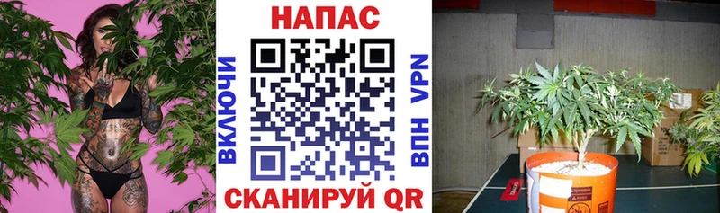 купить  цена  Каменск-Уральский  Бошки Шишки планчик 